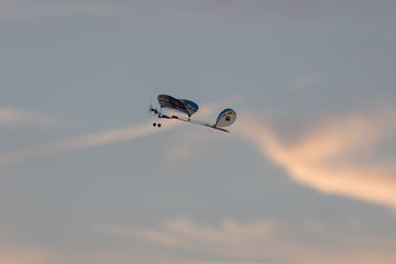 Bild 25 - Lilienthal Open